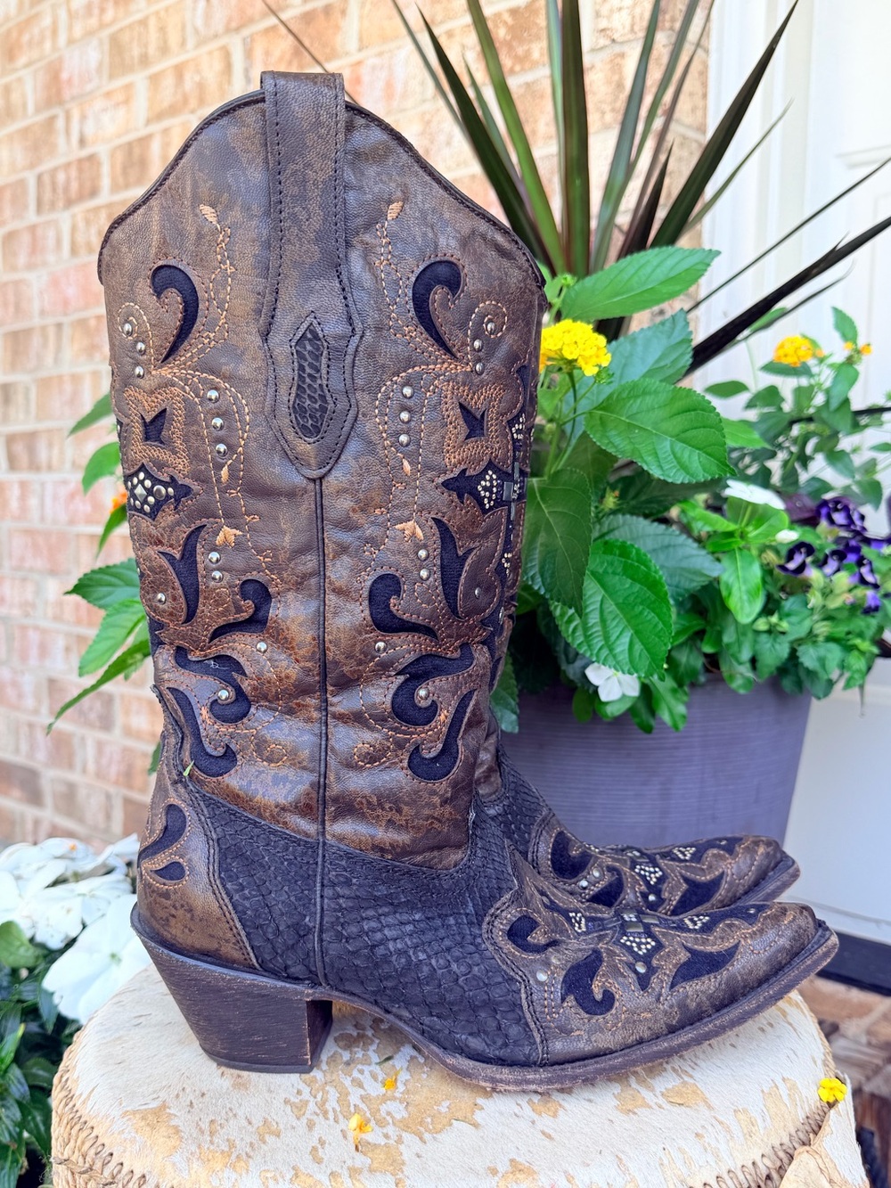 Corral Swarovski Crystal Embellished Cross Python Leather Cowboy Boots Black 8.5 - Picture 10 of 16